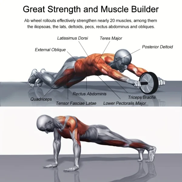 Abdominal Wheel